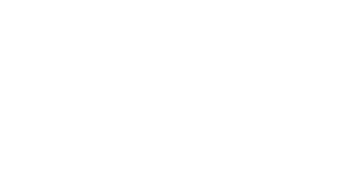 DVZ Production Logo