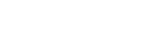 DVZ Logo