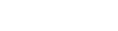 DVZ Logo